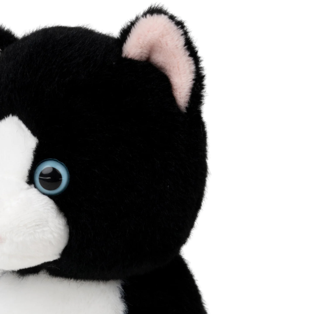 Kattkompisar Teddykompaniet