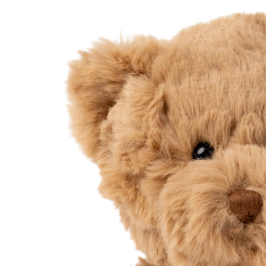Sture, Brun, Liten Teddykompaniet